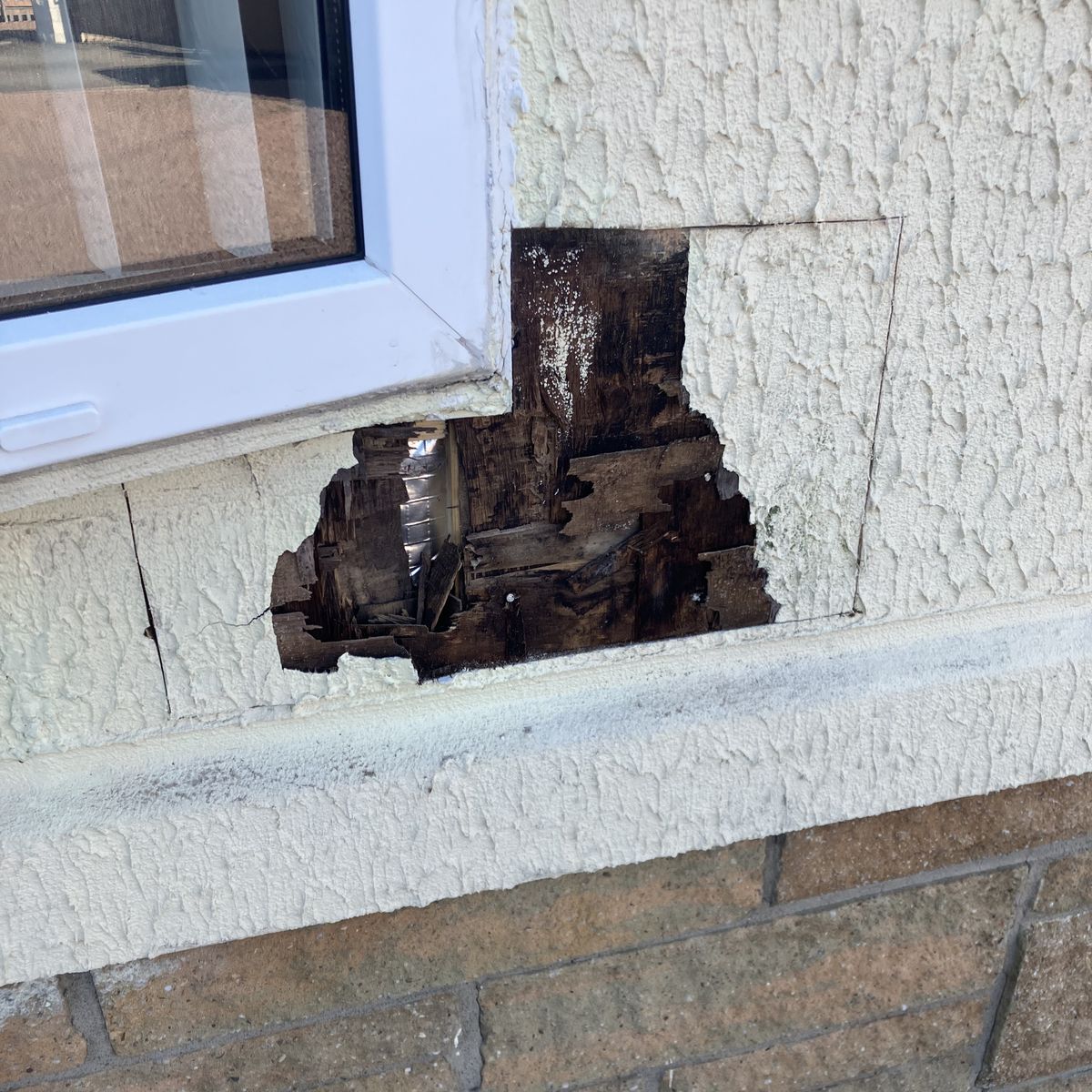 Before: Oak Doors, Hall Panelling and a Render Repair in Lanarkshire
